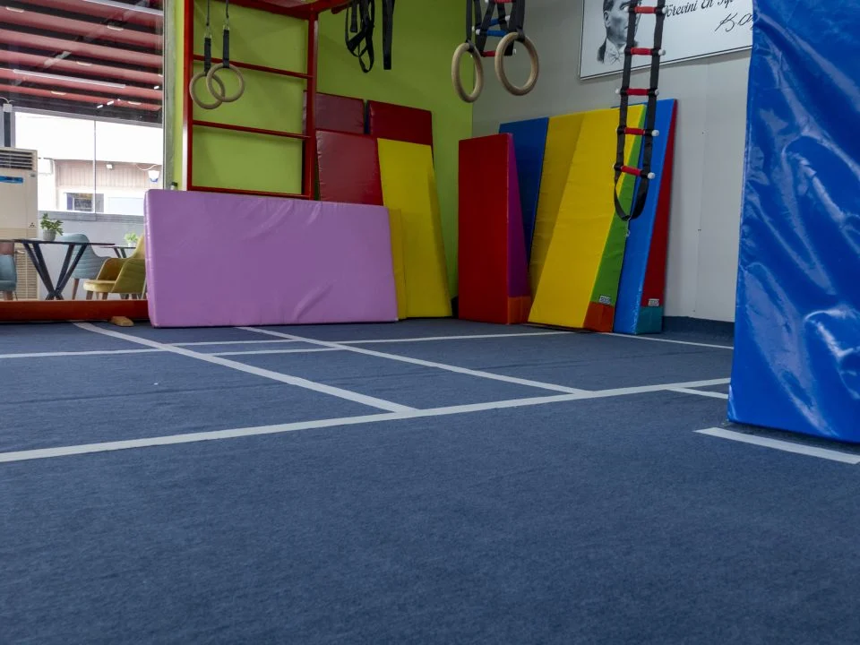 Halkalar, tırmanma barları ve minderlerle cimnastik salonu